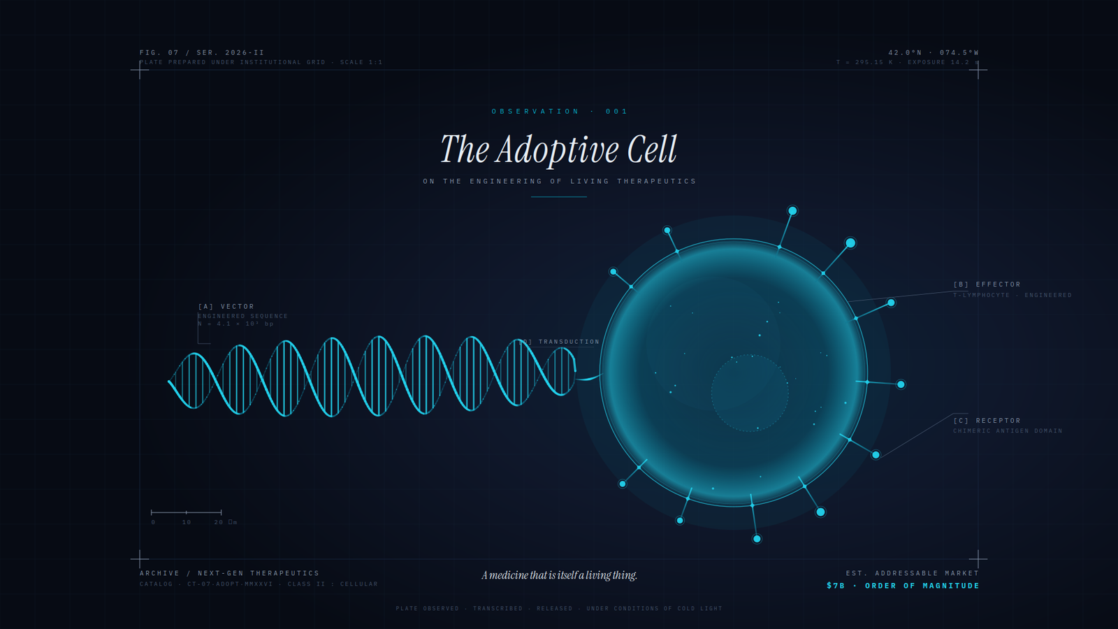 An institutional illustration showing Eli Lilly's $7 billion Kelonia Therapeutics acquisition with CAR-T molecular visualization for pharma m&a investing analysis
